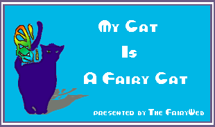 my cat is a fairy cat