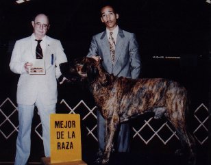Soberbo Das Leoas - Tia's Great grandfather