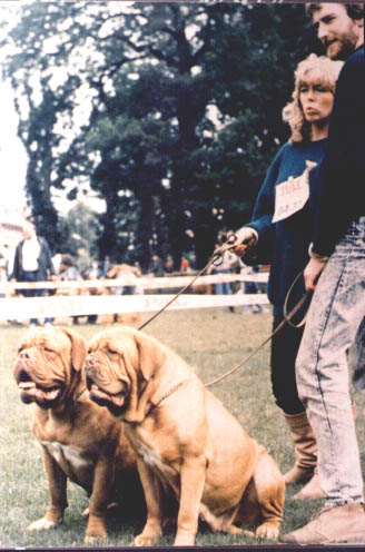 J'Aimee Van Alcarinque and Rumil Van Het Grevelingenland