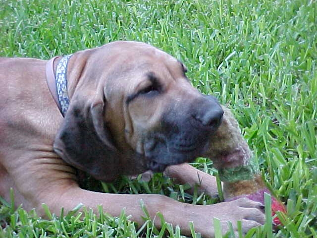 5 months old