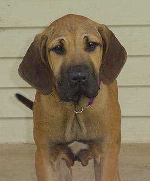 Our Lily Girl