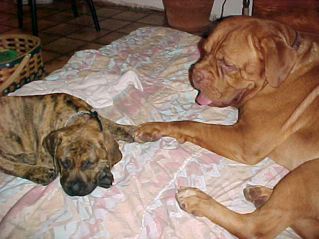 Benny and the baby holding paws