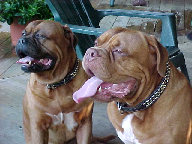 Moe and Benny 