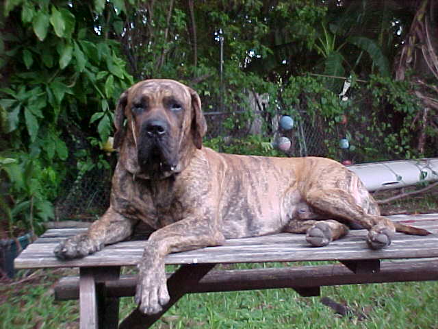 Sonny Relaxes