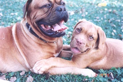 Moe and his little brother ,Benny
