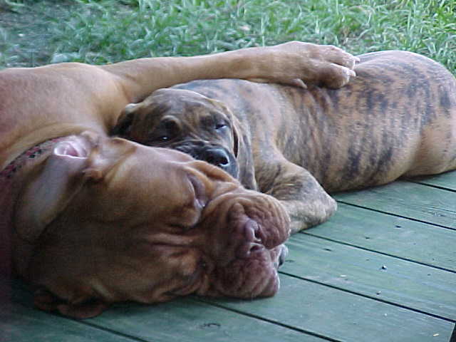Brotherly Love 