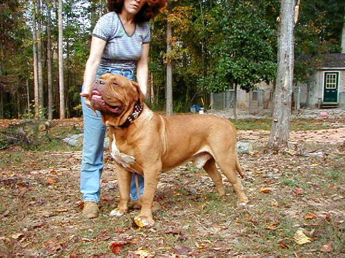 Jeager - 2001