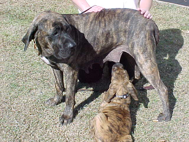 Sonny at 10 weeks , with mompatient mom, Tia 