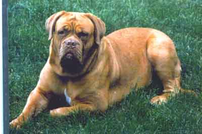 Rita owned by Jackie Pallister....this is his grandmothers sister...
