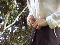 line31.jpg (32735 bytes)