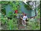 Camporee