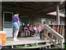 Camporee