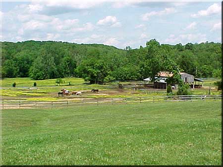 camp