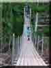 Camporee