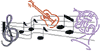Caroling Songs
