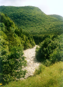 River