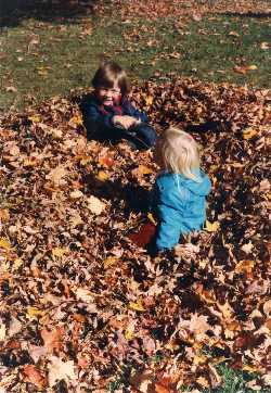 Leaves!