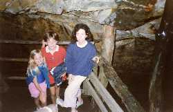 The Ovens
