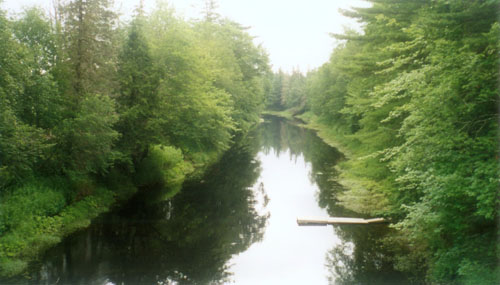 River view