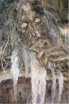 Treebeard (mod) -Alan Lee.jpg