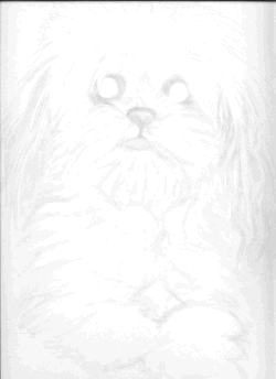 to animated geb graphic.....