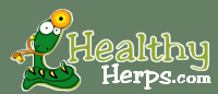Come and visit our reptile forum!