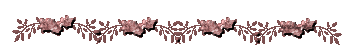 barra.gif (4491 bytes)