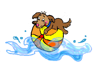 cachorro.gif (46332 bytes)