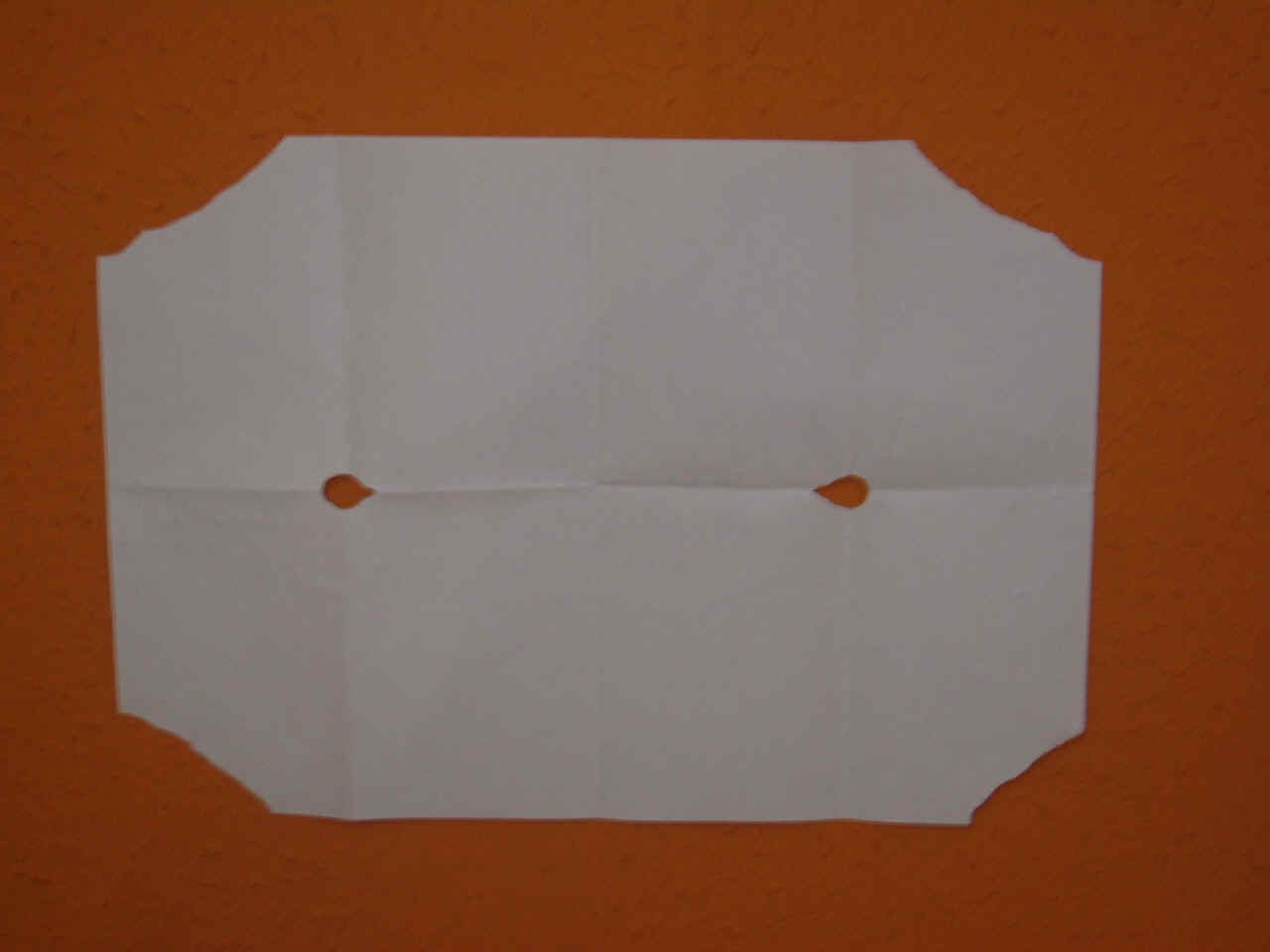 folha.jpg (445044 bytes)