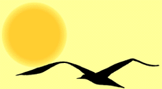 introducao.gif (17119 bytes)