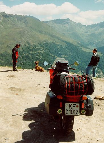 Goat at the Timmelsjoch