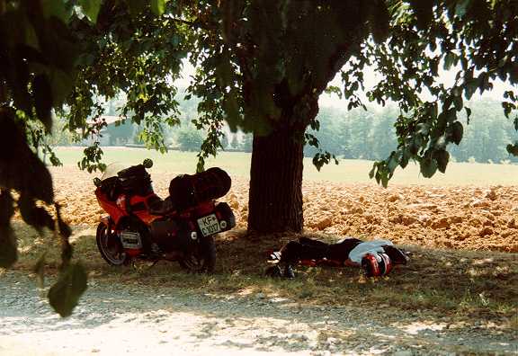 Siesta