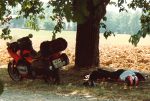 Siesta