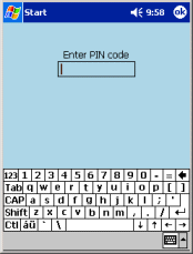 pin01a.gif
