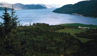 mar&eacute;&eacute;e haute