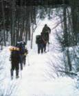 ski de fond