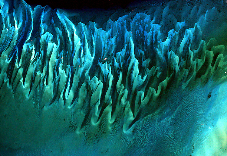Near Florida Waters