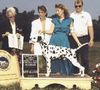 Cain DCA Veteran Dog 1993