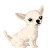 Chihuahua necklaces