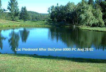After Bio-Logics 6000-PC Biological Pond Treatment 
