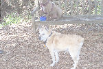 index002003.jpg
