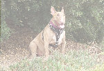 index002004.jpg