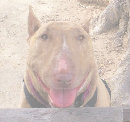 index002009.jpg