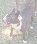 index002024.jpg