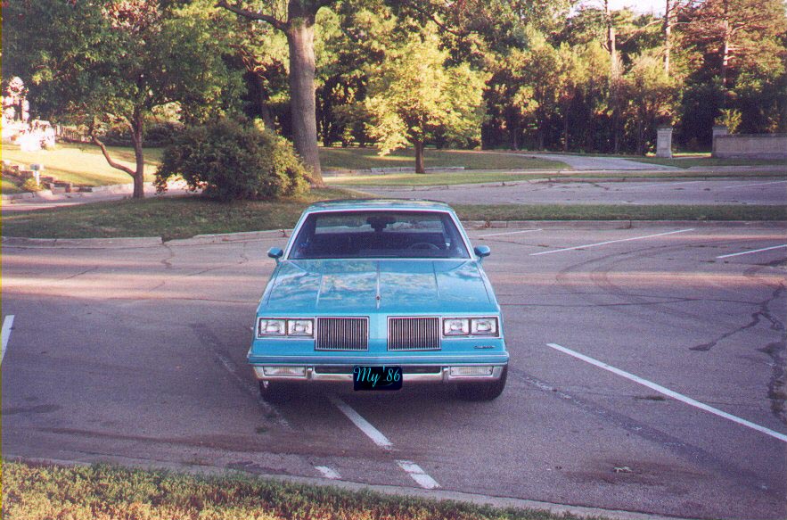 i like this one because of the reflection of the overhaning tree in the hood