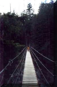 suspension_bridge.jpg (73413 bytes)