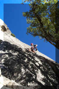 YNP09-05-03_024b.jpg (187732 bytes)