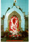 JAI MAA SURESWARI.jpg (331472 bytes)