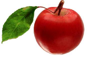 apple.jpg (9168 bytes)