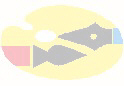 arte1.wmf (3970 bytes)